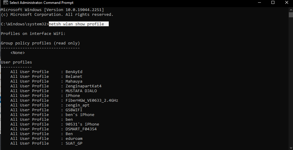 netsh wlan show profile